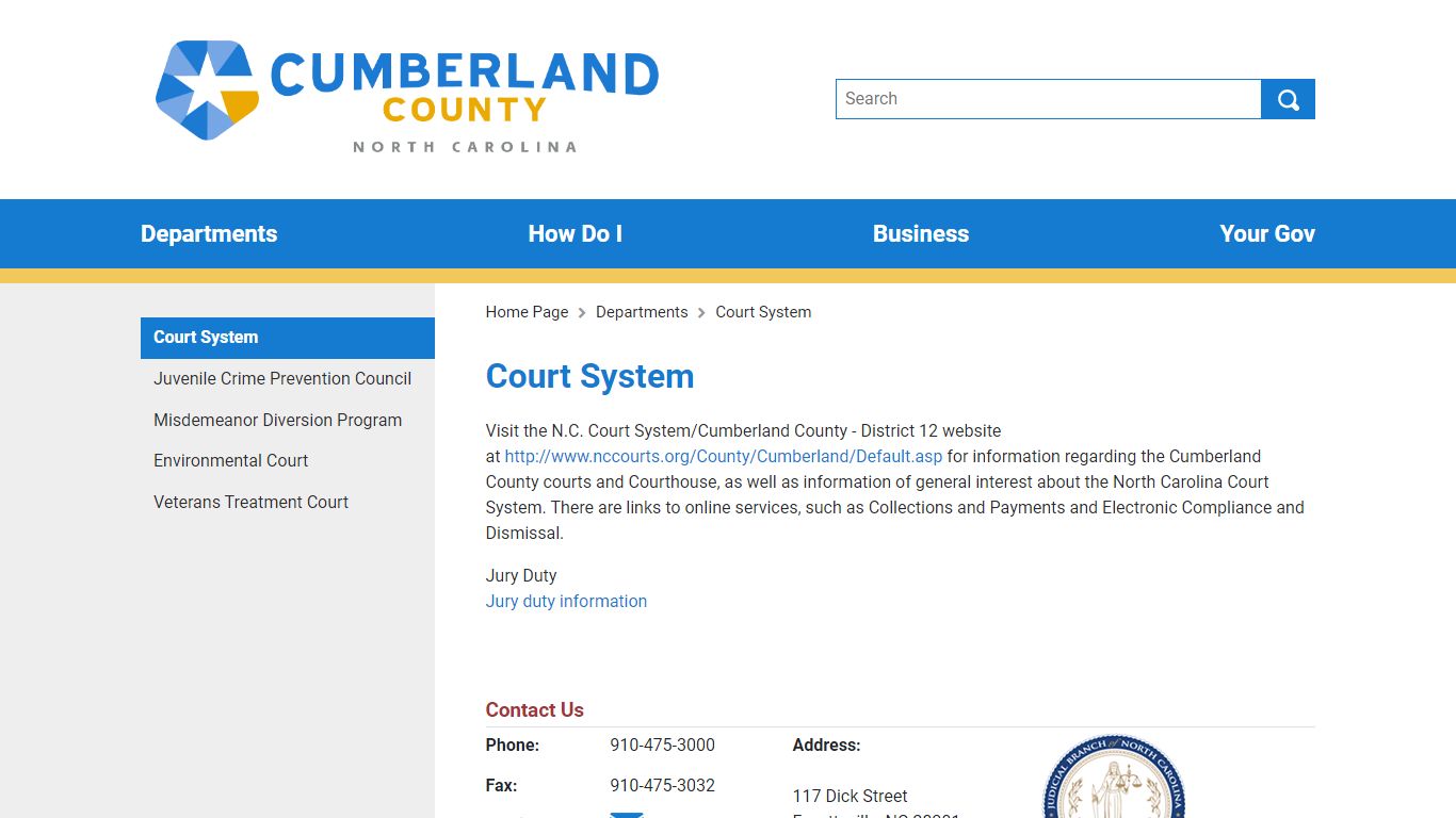 Court System